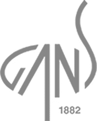 GANS logo – valueADD client, restructuring and turnaround advisory